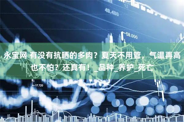 永宝网 有没有抗晒的多肉？夏天不用管，气温再高也不怕？还真有！_品种_养护_死亡