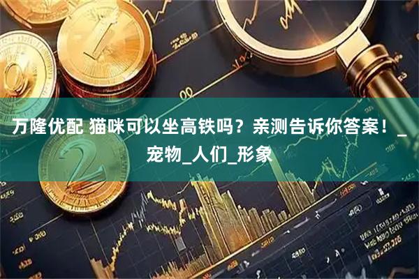 万隆优配 猫咪可以坐高铁吗？亲测告诉你答案！_宠物_人们_形象