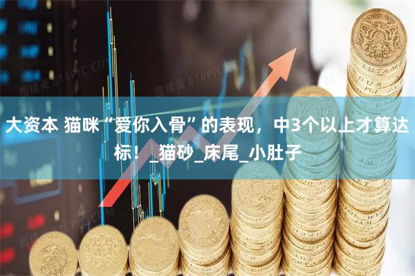 大资本 猫咪“爱你入骨”的表现，中3个以上才算达标！_猫砂_床尾_小肚子