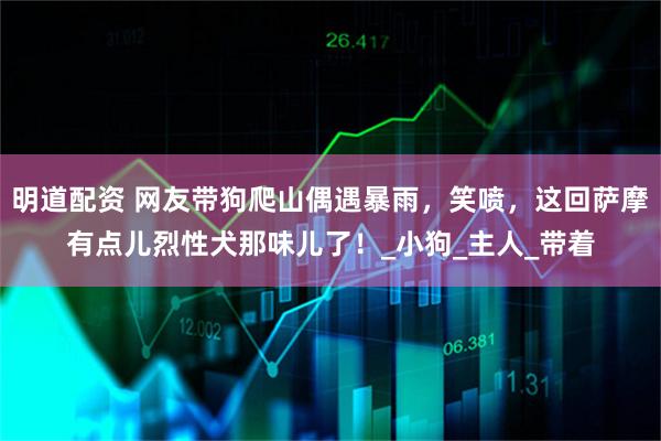 明道配资 网友带狗爬山偶遇暴雨，笑喷，这回萨摩有点儿烈性犬那味儿了！_小狗_主人_带着