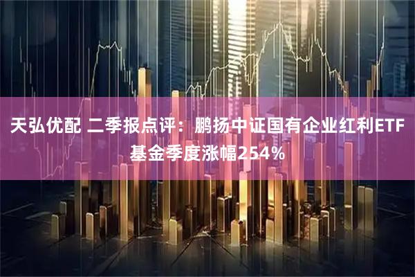 天弘优配 二季报点评：鹏扬中证国有企业红利ETF基金季度涨幅254%
